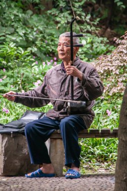 Guilin, Çin - 11 Mayıs 2010 Yedi Yıldız Parkı. Bankta oturan adam erhu ya da Çin keman çalar. Arkadaki yeşil yapraklar..