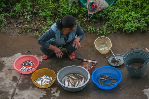 Guilin China Mayo 2010 Downtown Mujer Cuclillas Vende Peces Frescos —  Fotos de Stock