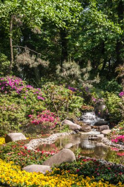 Suzhou Çin - 3 Mayıs 2010 Mütevazı Yöneticiler Bahçesi. Sarı ve kırmızı çiçek yataklarında küçük beyaz şelale. Arka tarafında yeşil yapraklar var..