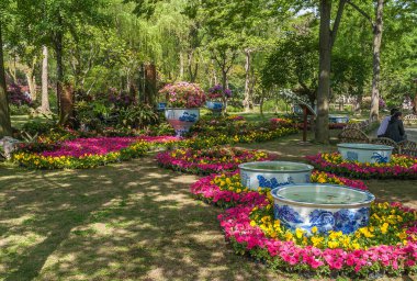 Suzhou Çin - 3 Mayıs 2010 Mütevazı Yöneticiler Bahçesi. Pembe ve sarı çiçekli, suyla dolu, geniş, mavi yuvarlak damarlı. Çevrede yeşil yapraklar.