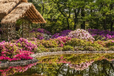 Suzhou Çin - 3 Mayıs 2010 Mütevazı Yöneticiler Bahçesi. Pembe, beyaz ve kırmızı çiçek yataklarının arkasındaki açık kahverengi saman çatı yapısı gölete yansıyor..