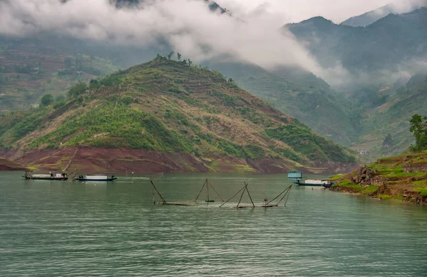 Wuchan China May 2010 Dawu Misty Gorge Daning River Fish — Stock Photo, Image