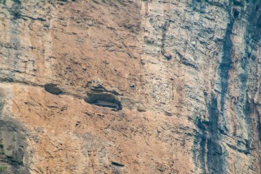 Wuchan, Çin - 7 Mayıs 2010: Daning Nehri üzerindeki Dawu veya Misty Gorge. Kahverengi uçurum duvarlarında mağaralara yerleştirilmiş Ba halkının antik tabutları..