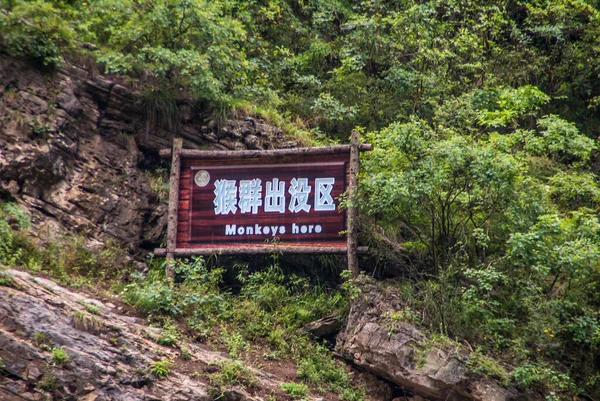 Wuchan Chiny Maja 2010 Dawu Lub Misty Gorge Rzece Daning — Zdjęcie stockowe