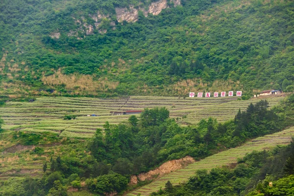 Zigui Kina Maj 2010 Xiling Ravinen Yangtze River Gröna Bergssluttningar — Stockfoto