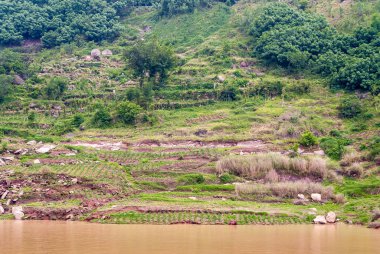 Fengdu, Chongqing, Çin - 8 Mayıs 2010: Yangtze Nehri. Kıyı şeridindeki teraslardaki sebze bahçesi kahverengi suyun arkasındaki yeşil yamaçtaki ormanlık alana kurulmuş..