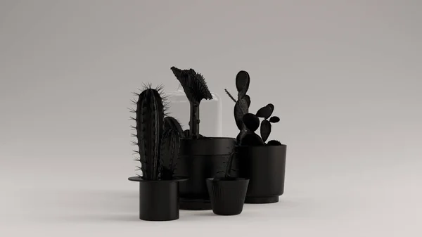 Collection Noire Cactus Illustration Rendu — Photo