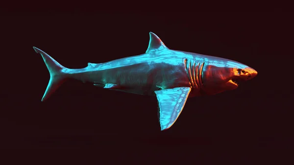 Great White Shark Illustration Rende — Stock Photo, Image
