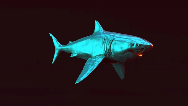 Gran Tiburón Blanco Ilustración Rende —  Fotos de Stock