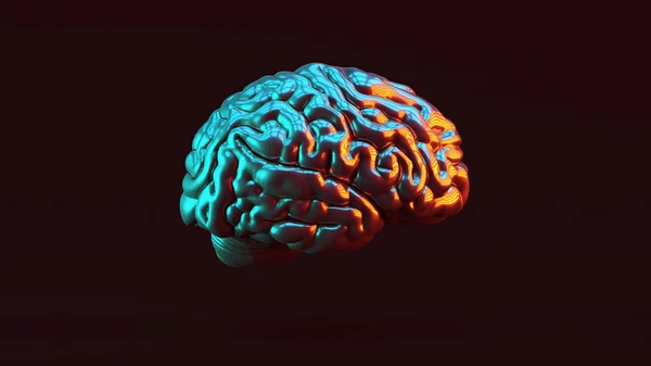 Silver Human Brain Anatomical Red Blue Moody 80S Lighting Illustration — Stock Photo, Image