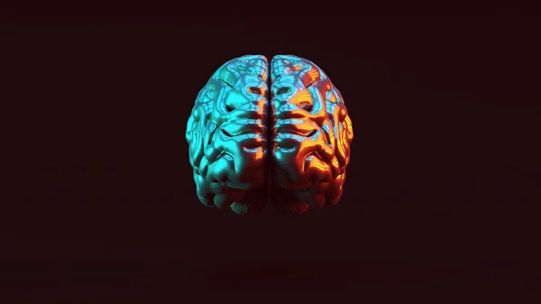 Plata Cerebro Humano Anatómico Con Rojo Azul Moody Iluminación Ilustración —  Fotos de Stock