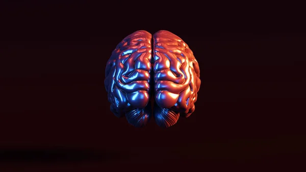 Silver Human Brain Anatomical Red Blue Moody 80S Lighting Illustration — Stock Photo, Image