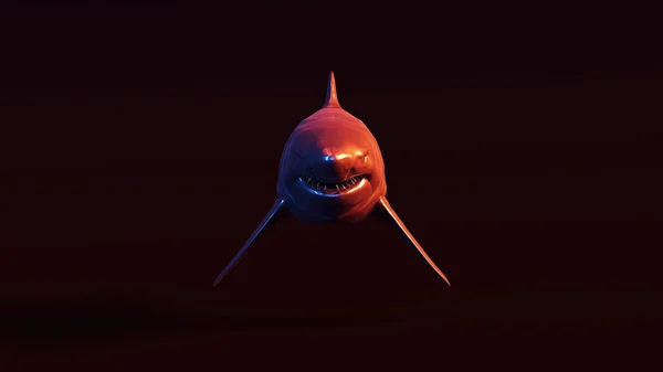 大白鲨3D图解3D伦德 — 图库照片