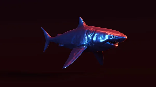 Great White Shark Illustration Rende — Stock Photo, Image