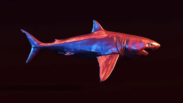 Grande Tubarão Branco Ilustração Rende — Fotografia de Stock
