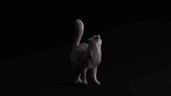 Gris Pulido Piedra Gato Pose Renderizado — Foto de Stock