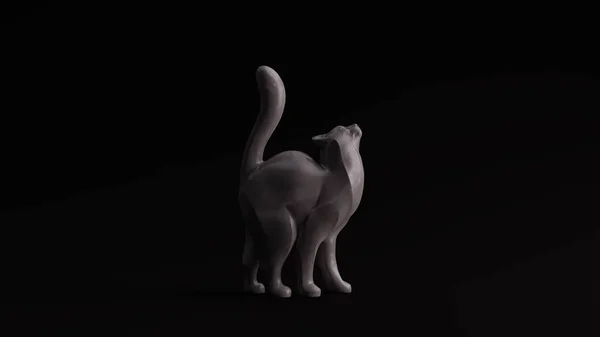 Γκρι Γυαλισμένη Πέτρα Γάτα Pose Απόδοση — Φωτογραφία Αρχείου