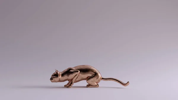 Bronze Cat Pose Renderização — Fotografia de Stock