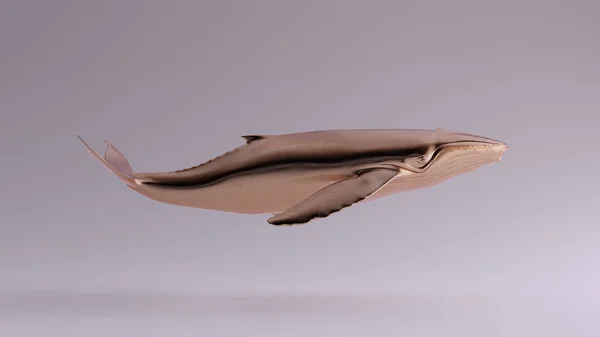 Bronze Humpback Whale View Illustration Render — 스톡 사진