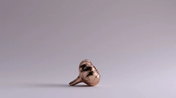 Bronze Gourmet Garlic Bulb Illustration Rendering — 스톡 사진