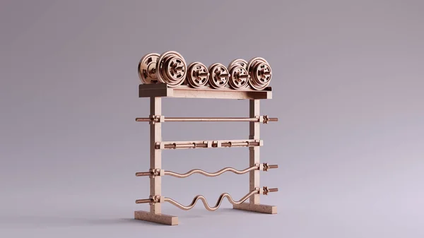 青铜杠铃Dumbbell Rack 3D插图3D渲染 — 图库照片