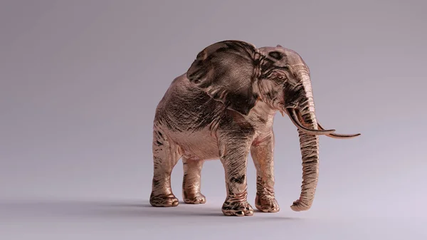 大きなブロンズ象のフロントビュー3Dイラスト3Dレンダリング — ストック写真