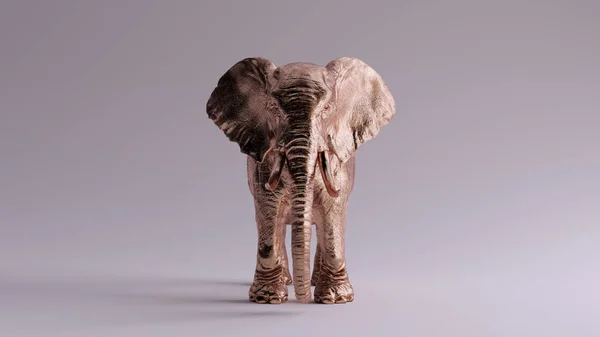 Μεγάλη Bronze Elephant Front View Απεικόνιση Καθιστούν — Φωτογραφία Αρχείου