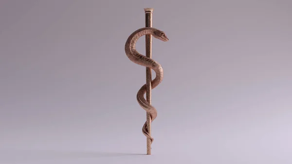 Bronze Medical Serpent Symbol Rod Ilustrações Asclepius — Fotografia de Stock