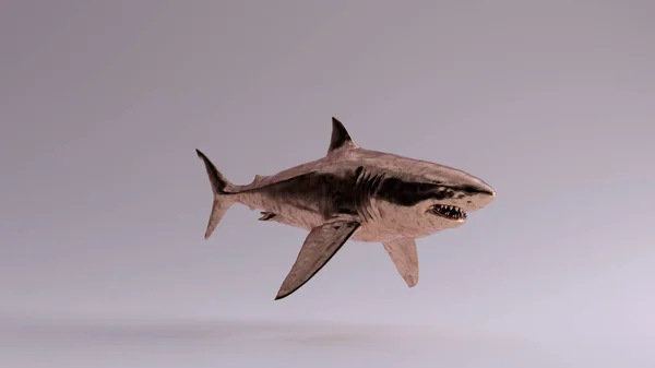 Bronze Great White Shark Εικονογράφηση Rende — Φωτογραφία Αρχείου