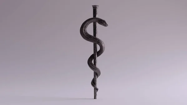 Ferro Médico Serpente Símbolo Rod Ilustrações Asclepius — Fotografia de Stock