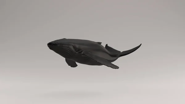 Black Humpback Whale Illustration Render — Stock Photo, Image