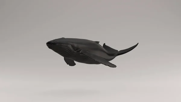 Ballena Jorobada Negra Ilustración Render —  Fotos de Stock