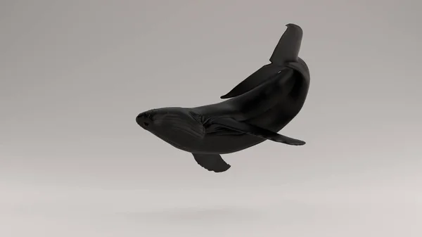 Black Humpback Whale Illustration Render — 스톡 사진