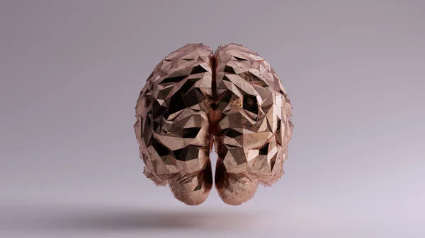 Bronze Brain Futuristic Artificial Intelligence Back View Illustration Render — Stock Photo, Image