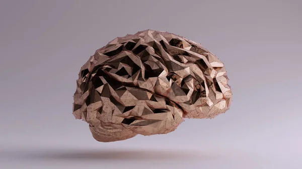 Бронзовий Мозок Футуристичний Штучний Інтелект Прямий Погляд Приклад Рендеринг — стокове фото
