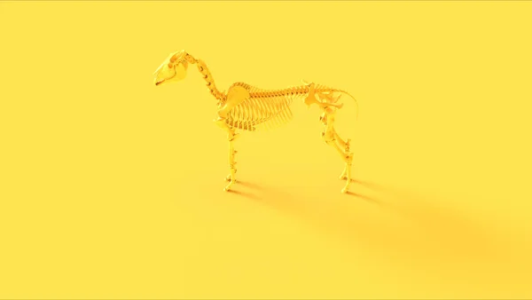 Anatomisches Modell Des Skelettsystems Des Gelben Pferdes — Stockfoto