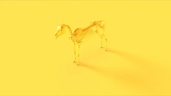 Κίτρινο Άλογο Σκελετικό Σύστημα Ανατομικό Μοντέλο — Φωτογραφία Αρχείου