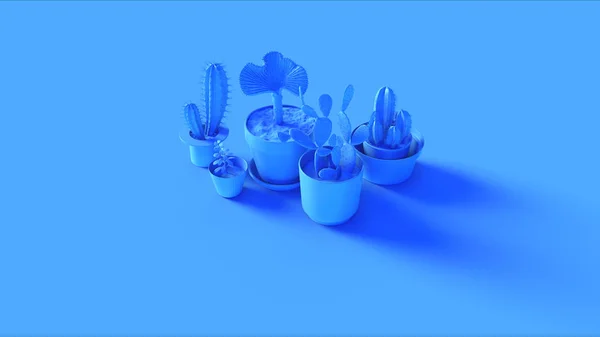 Coleção Azul Cacti Ilustração Render — Fotografia de Stock