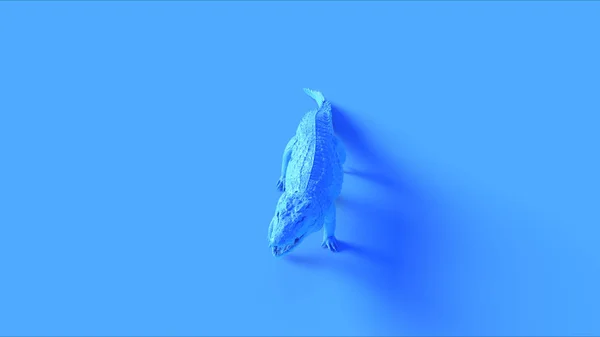 Blue Walking Crocodile Vista Frontal Ilustração Renderização — Fotografia de Stock