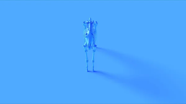 Modelo Anatómico Del Sistema Esquelético Del Caballo Azul Ilustración Render —  Fotos de Stock