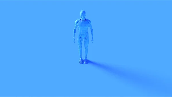 Black Iron Ecorche Muscle and Skeletal System Anatomical Model 3d illustration 3d render