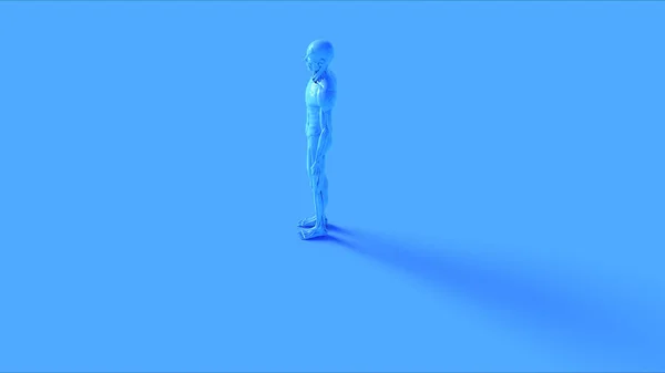 ブラックアイアンEcorche筋肉と骨格系解剖学モデル3Dイラスト3Dレンダリング — ストック写真