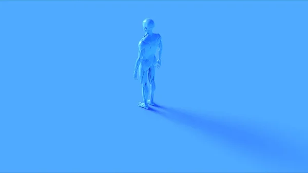ブラックアイアンEcorche筋肉と骨格系解剖学モデル3Dイラスト3Dレンダリング — ストック写真