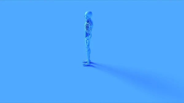 ブラックアイアンEcorcheハーフスケルトンシステムハーフマッスルシステム解剖学モデル3Dイラスト3Dレンダリング — ストック写真
