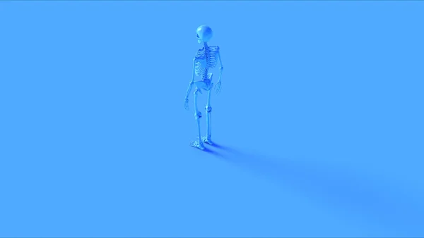 Niebieski Żelazny Szkielet System Anatomiczny Model Ilustracja Renderowanie — Zdjęcie stockowe