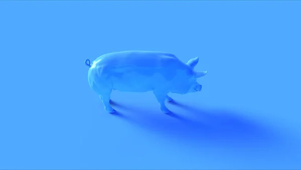 Cerdo Azul Ilustración Render —  Fotos de Stock