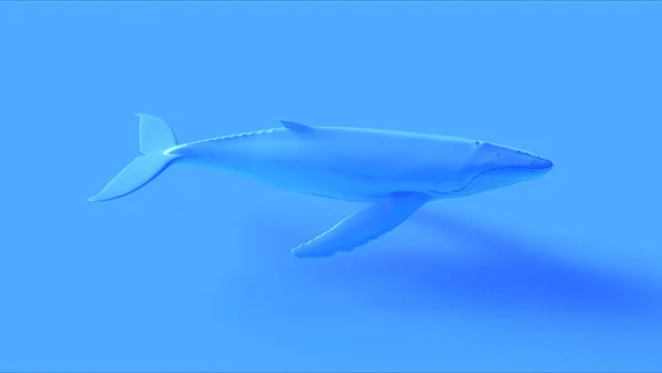蓝色座头鲸3D插图3D渲染 — 图库照片