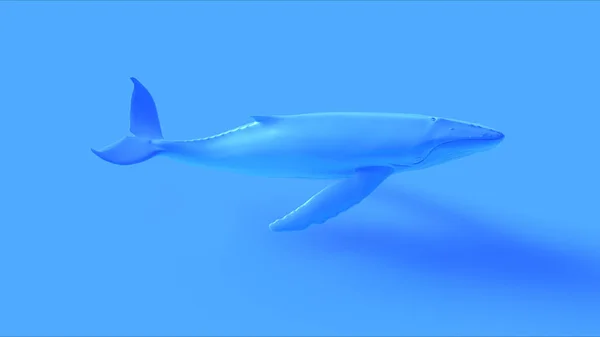 Ballena Jorobada Azul Ilustración Render —  Fotos de Stock