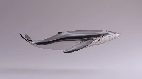 Silver Humpback Whale View Illustration Render — Stock Photo, Image