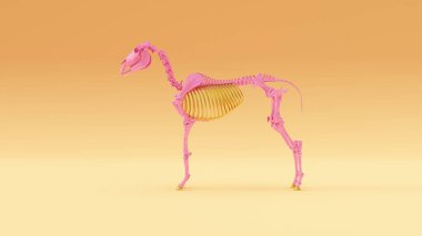 Pink an Gold Horse Skeletal System Anatomical Warm Cream Background 3d illustration 3d render clipart